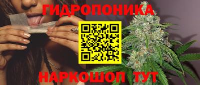 apvp Коммунар