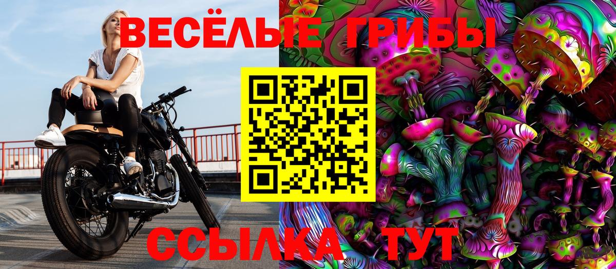 Псилоцибиновые грибы прущие грибы  Вход с VPN  Галлюциногенные грибы Psilocybe  Елизово 
